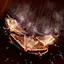 Shield Crush skill icon